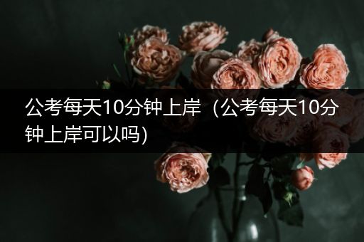 公考每天10分钟上岸（公考每天10分钟上岸可以吗）