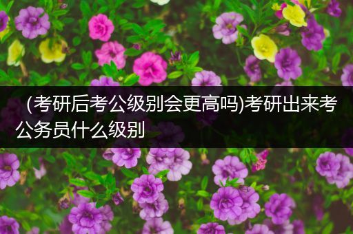 （考研后考公级别会更高吗)考研出来考公务员什么级别