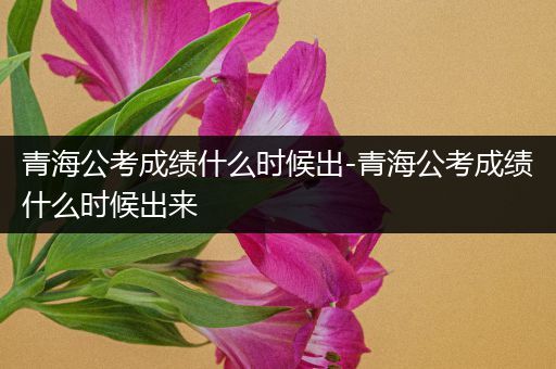 青海公考成绩什么时候出-青海公考成绩什么时候出来