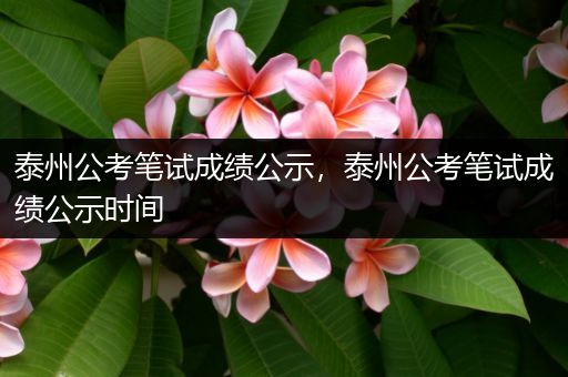 泰州公考笔试成绩公示，泰州公考笔试成绩公示时间