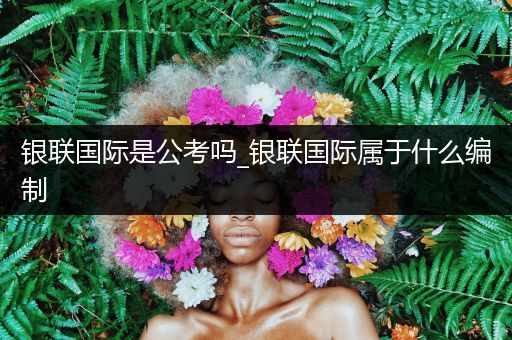 银联国际是公考吗_银联国际属于什么编制