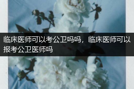 临床医师可以考公卫吗吗，临床医师可以报考公卫医师吗