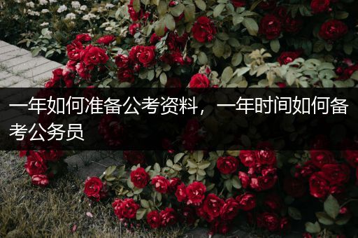 一年如何准备公考资料，一年时间如何备考公务员