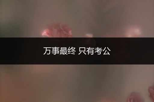 万事最终 只有考公