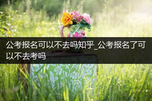 公考报名可以不去吗知乎_公考报名了可以不去考吗