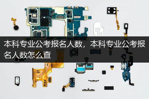 本科专业公考报名人数，本科专业公考报名人数怎么查