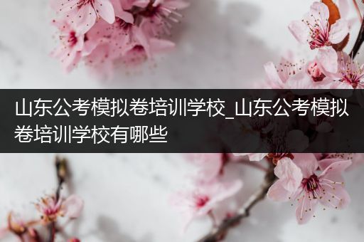 山东公考模拟卷培训学校_山东公考模拟卷培训学校有哪些