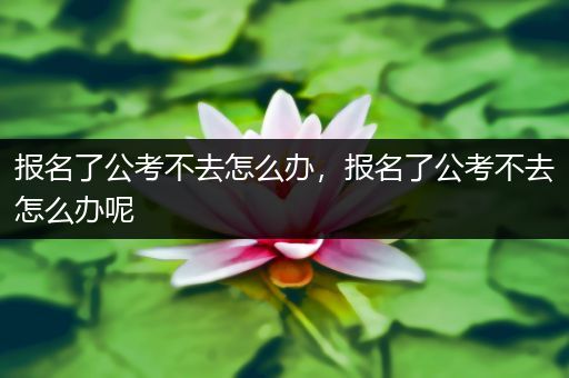 报名了公考不去怎么办，报名了公考不去怎么办呢