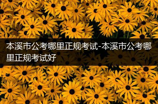本溪市公考哪里正规考试-本溪市公考哪里正规考试好