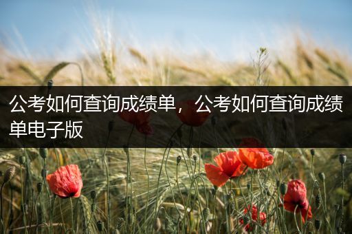 公考如何查询成绩单，公考如何查询成绩单电子版