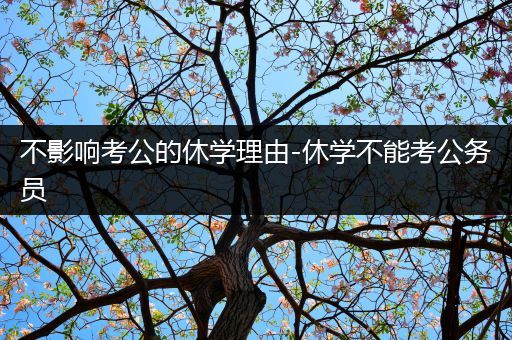 不影响考公的休学理由-休学不能考公务员
