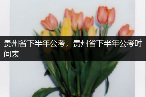 贵州省下半年公考，贵州省下半年公考时间表