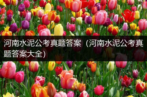 河南水泥公考真题答案（河南水泥公考真题答案大全）