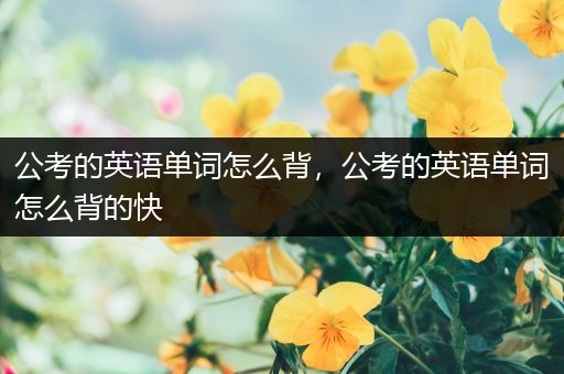 公考的英语单词怎么背，公考的英语单词怎么背的快