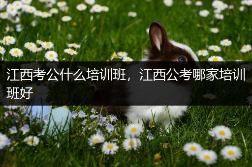 江西考公什么培训班，江西公考哪家培训班好