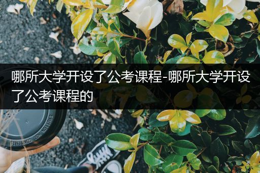 哪所大学开设了公考课程-哪所大学开设了公考课程的