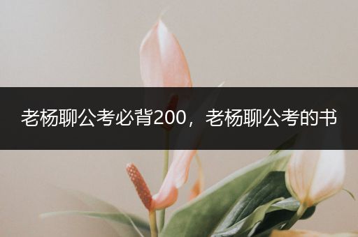 老杨聊公考必背200，老杨聊公考的书