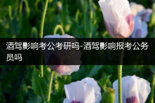 酒驾影响考公考研吗-酒驾影响报考公务员吗