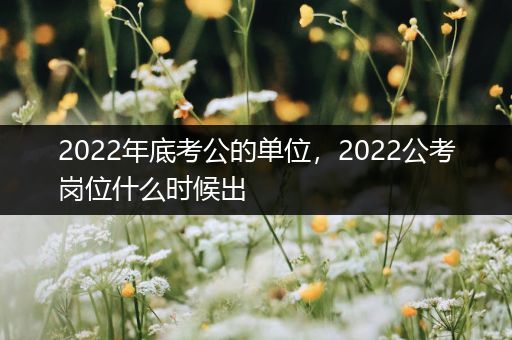 2022年底考公的单位，2022公考岗位什么时候出