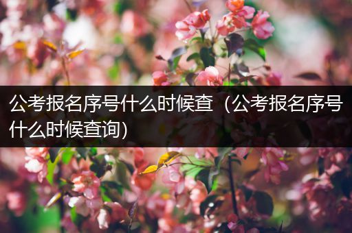 公考报名序号什么时候查（公考报名序号什么时候查询）