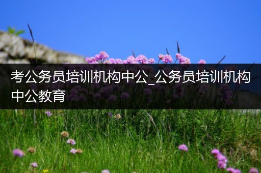考公务员培训机构中公_公务员培训机构中公教育