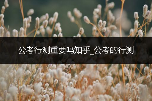 公考行测重要吗知乎_公考的行测