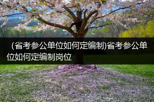 （省考参公单位如何定编制)省考参公单位如何定编制岗位