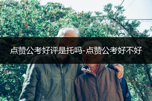 点赞公考好评是托吗-点赞公考好不好