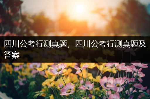 四川公考行测真题，四川公考行测真题及答案