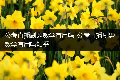 公考直播刷题数学有用吗_公考直播刷题数学有用吗知乎