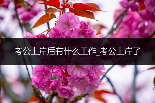 考公上岸后有什么工作_考公上岸了