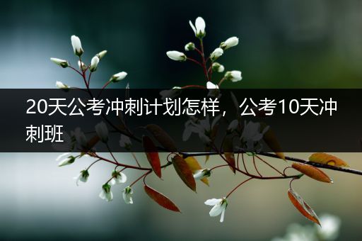 20天公考冲刺计划怎样，公考10天冲刺班