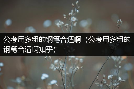 公考用多粗的钢笔合适啊（公考用多粗的钢笔合适啊知乎）