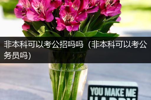 非本科可以考公招吗吗（非本科可以考公务员吗）