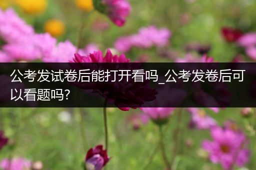 公考发试卷后能打开看吗_公考发卷后可以看题吗?