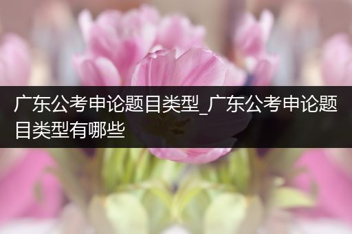 广东公考申论题目类型_广东公考申论题目类型有哪些