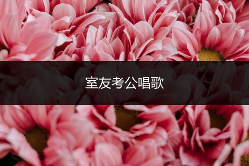 室友考公唱歌