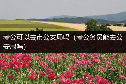 考公可以去市公安局吗（考公务员能去公安局吗）