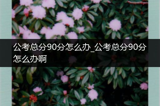 公考总分90分怎么办_公考总分90分怎么办啊