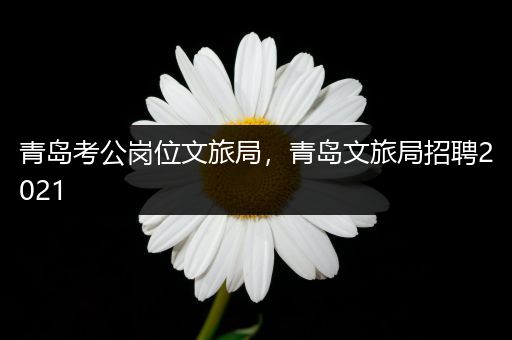 青岛考公岗位文旅局，青岛文旅局招聘2021