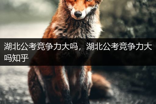湖北公考竞争力大吗，湖北公考竞争力大吗知乎