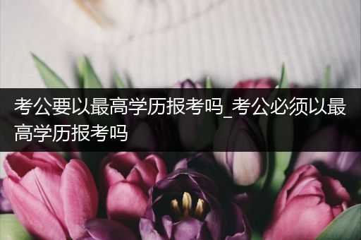考公要以最高学历报考吗_考公必须以最高学历报考吗