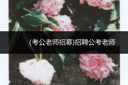 （考公老师招募)招聘公考老师