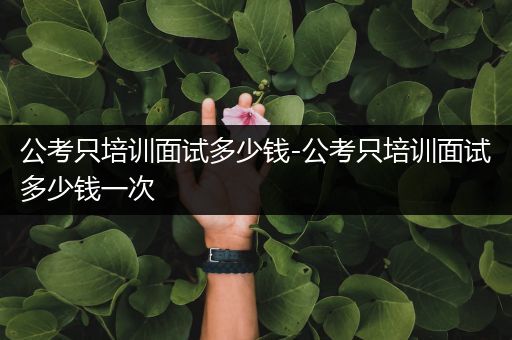 公考只培训面试多少钱-公考只培训面试多少钱一次