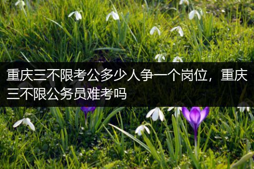 重庆三不限考公多少人争一个岗位，重庆三不限公务员难考吗
