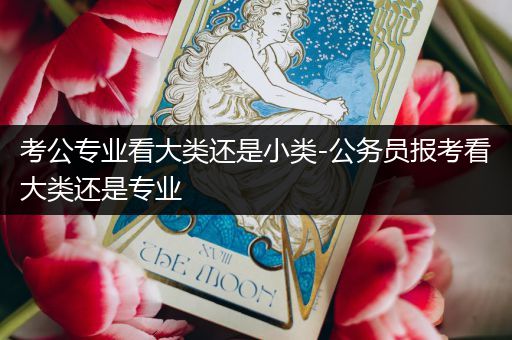 考公专业看大类还是小类-公务员报考看大类还是专业