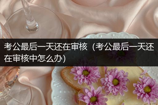 考公最后一天还在审核（考公最后一天还在审核中怎么办）