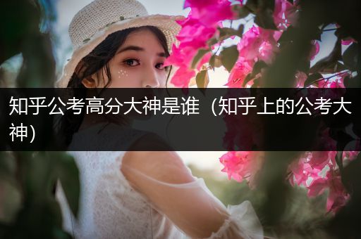 知乎公考高分大神是谁（知乎上的公考大神）