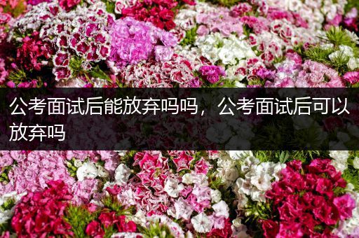 公考面试后能放弃吗吗，公考面试后可以放弃吗