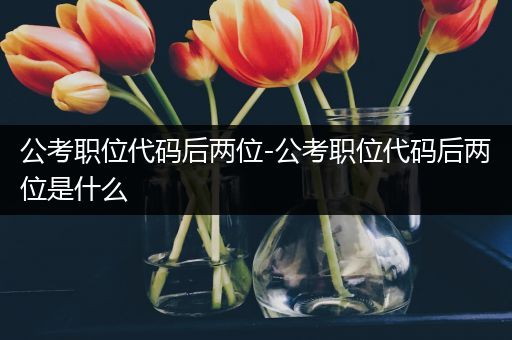 公考职位代码后两位-公考职位代码后两位是什么